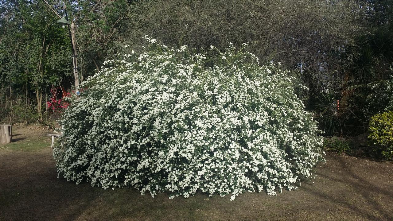 Quinta Valvanera ซัลตา ภายนอก รูปภาพ